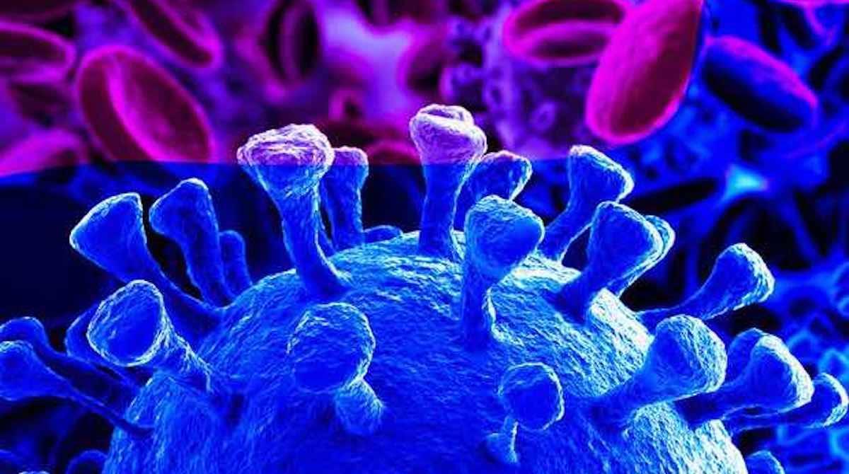 Major pharmaceutical companies, institutes and universities across the world are working on Covid-19 vaccine research. Image: WHO